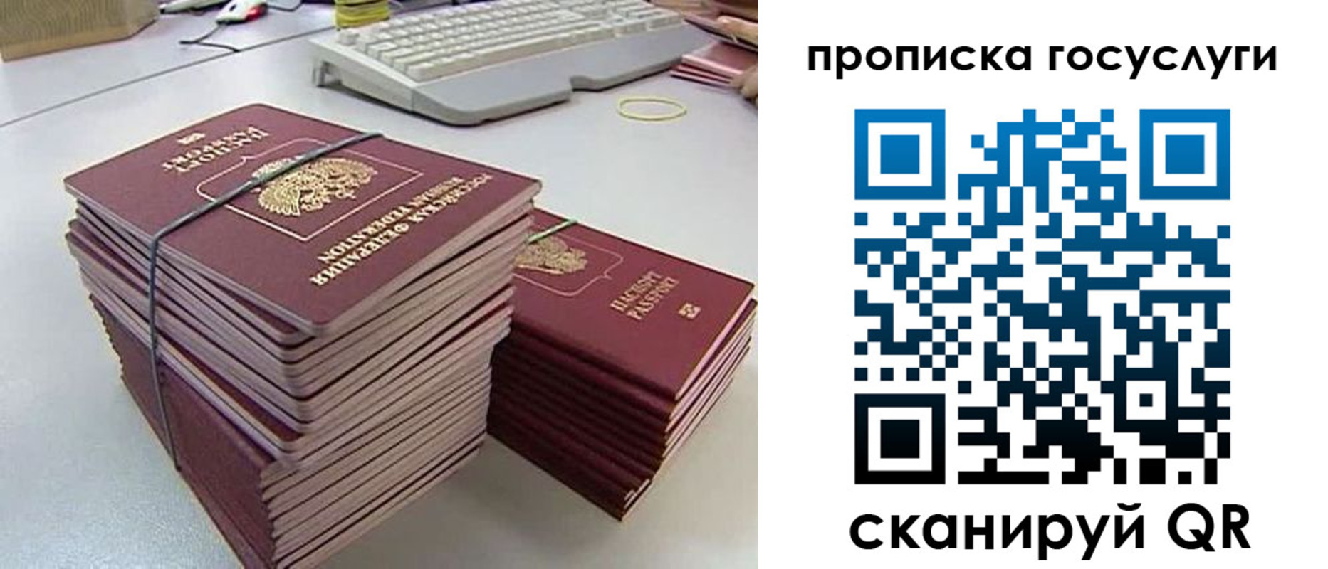 временная регистрация в квартире в Калининградской области